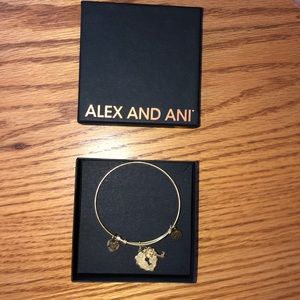 Alex and Ani Bangle Bracelet